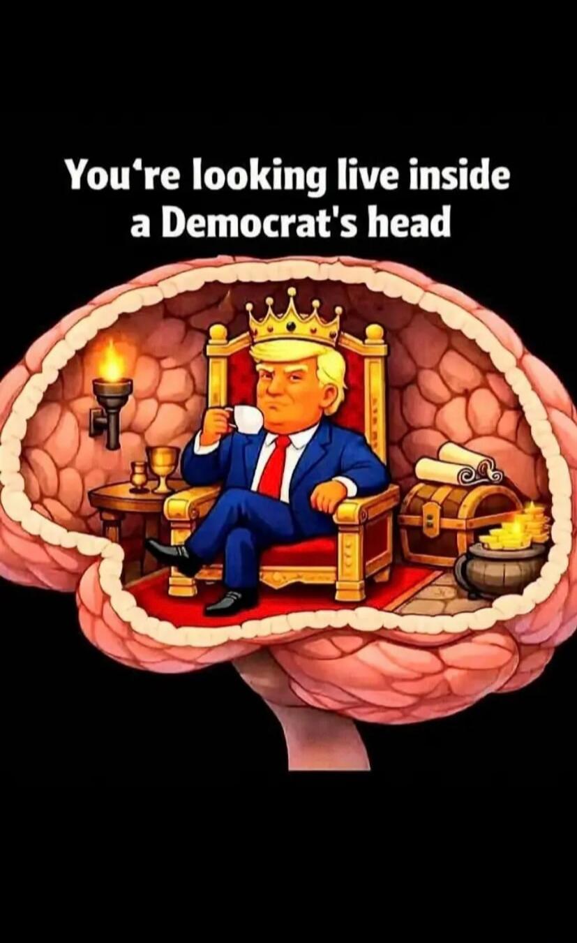 You're looking live inside a Democrat's head