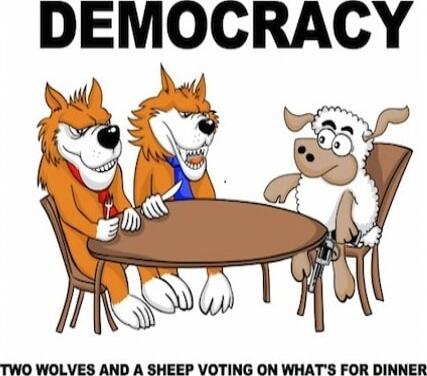 DEMOCRACY
TWO WOLVES AND A SHEEP VOTING ON WHAT'S FOR DINNER