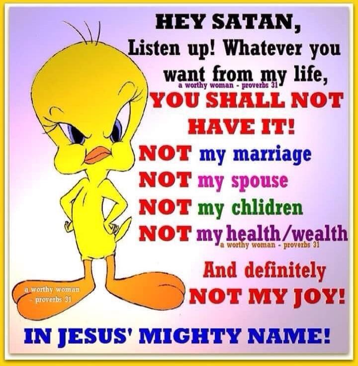 HEY SATAN, Listen up! Whatever you want from my life, YOU SHALL NOT HAVE IT! NOT my marriage, NOT my spouse, NOT my children, NOT my health/wealth, And definitely NOT MY JOY! IN JESUS' MIGHTY NAME! (a worthy woman - proverbs 31)