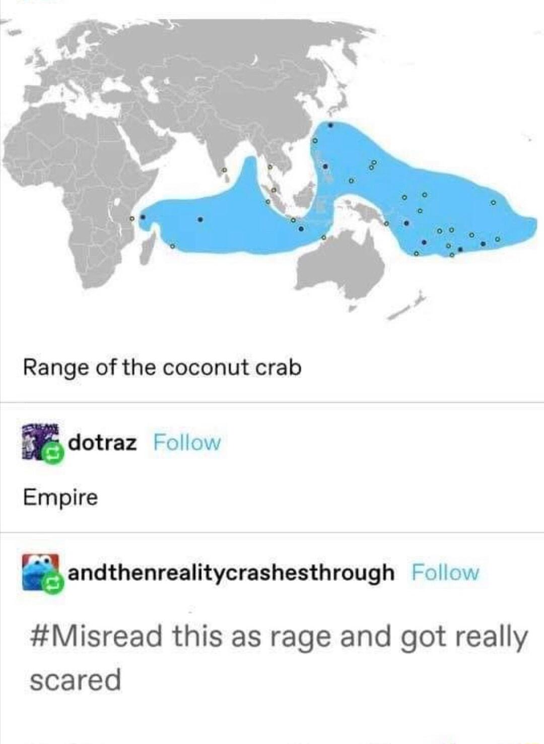Range of the coconut crab dotrlz Follow Empire B ndthonmlltycnlhummgh Follow Misread this as rage and got really scared