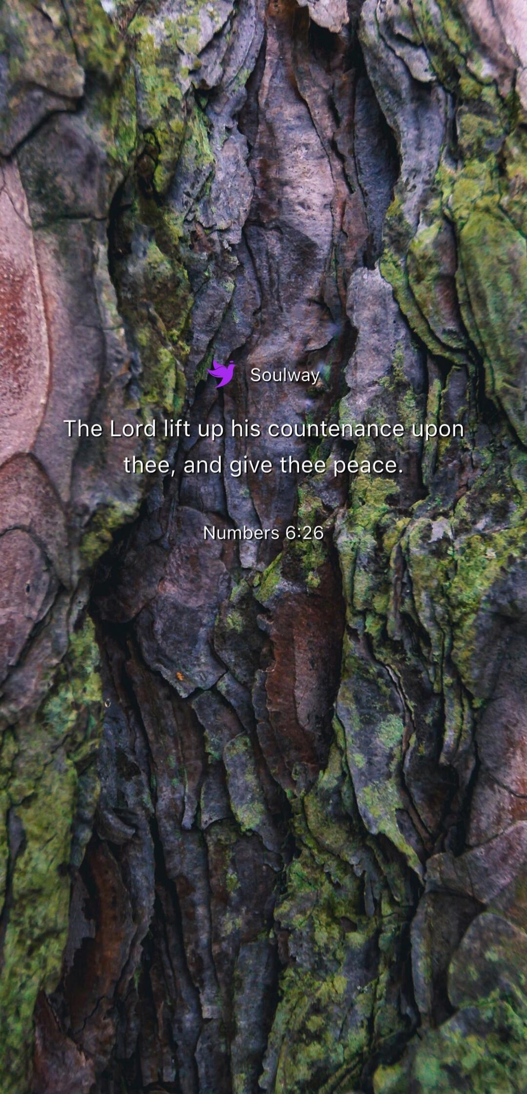 Soulway. The Lord lift up his countenance upon thee, and give thee peace. Numbers 6:26