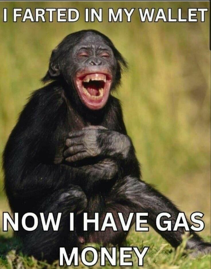I FARTED IN MY WALLET NOW I HAVE GAS MONEY