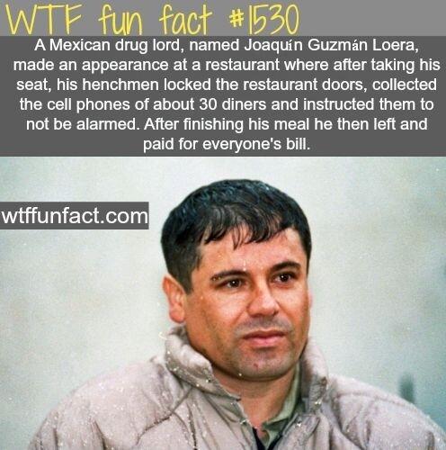 WTF fun fact 6230 AMexican drug lord named Joaquin Guzman Loera made an appearance at a restaurant where after taking his seat his henchmen locked the restaurant doors collected the cell phones of about 30 diners and instructed them to not be alarmed After finishing his meal he then left and paid for everyones bill