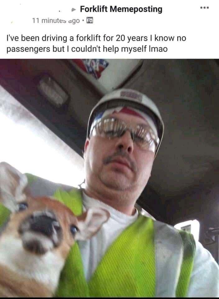 Forklift Memeposting 11 minutes ago Ive been driving a forklift for 20 years know no passengers but couldnt help myself Imao