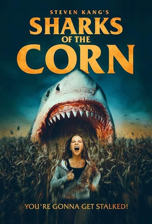 STEVEN KANGS SHARKS 1 ERGACOIN NN 31 ISy VN B bl