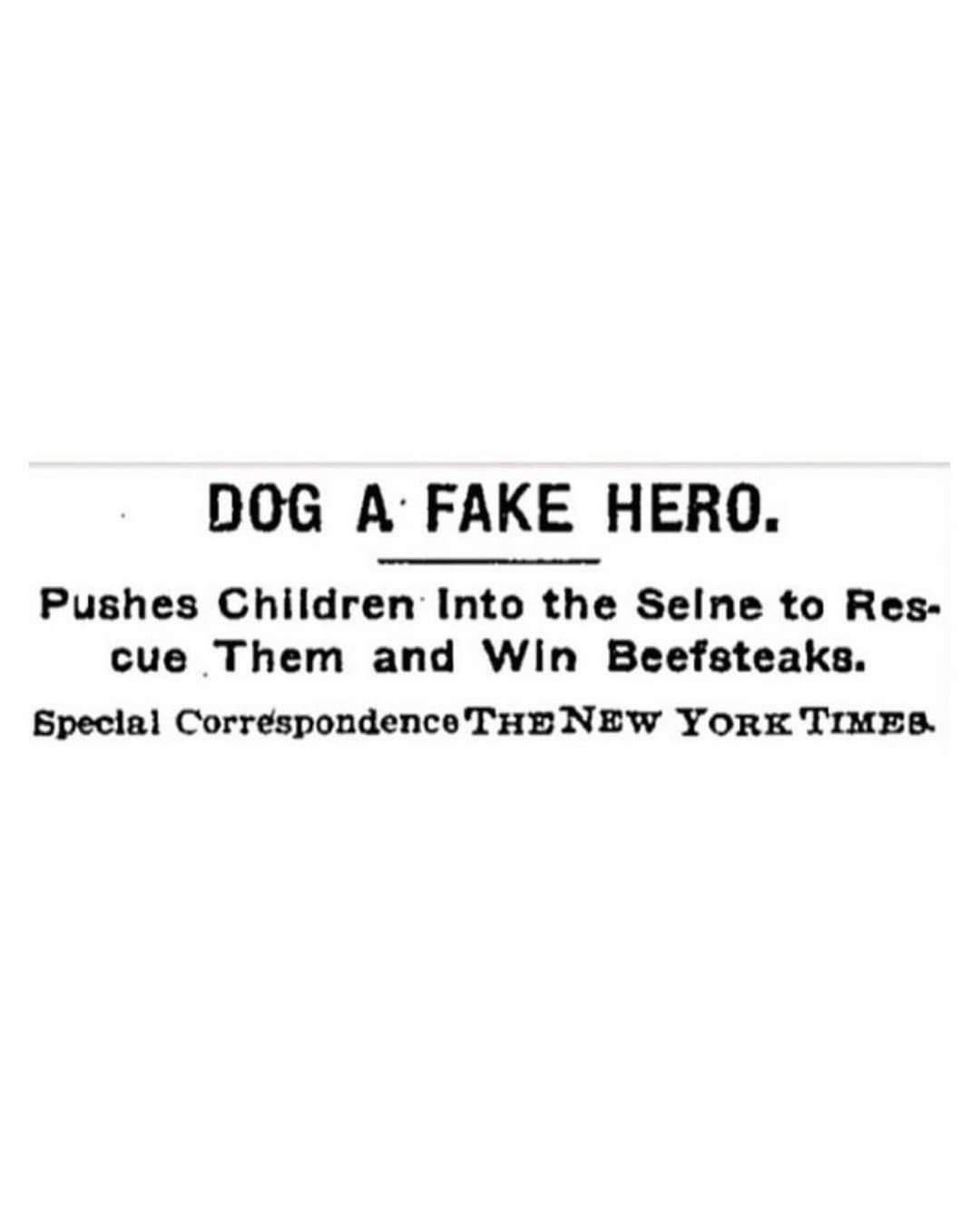 DOG A FAKE HERO Pushes Children Into the Seine to Res cue Them and Win Beefsteaks Bpecial Corrspondence THENEW YORK TIMES