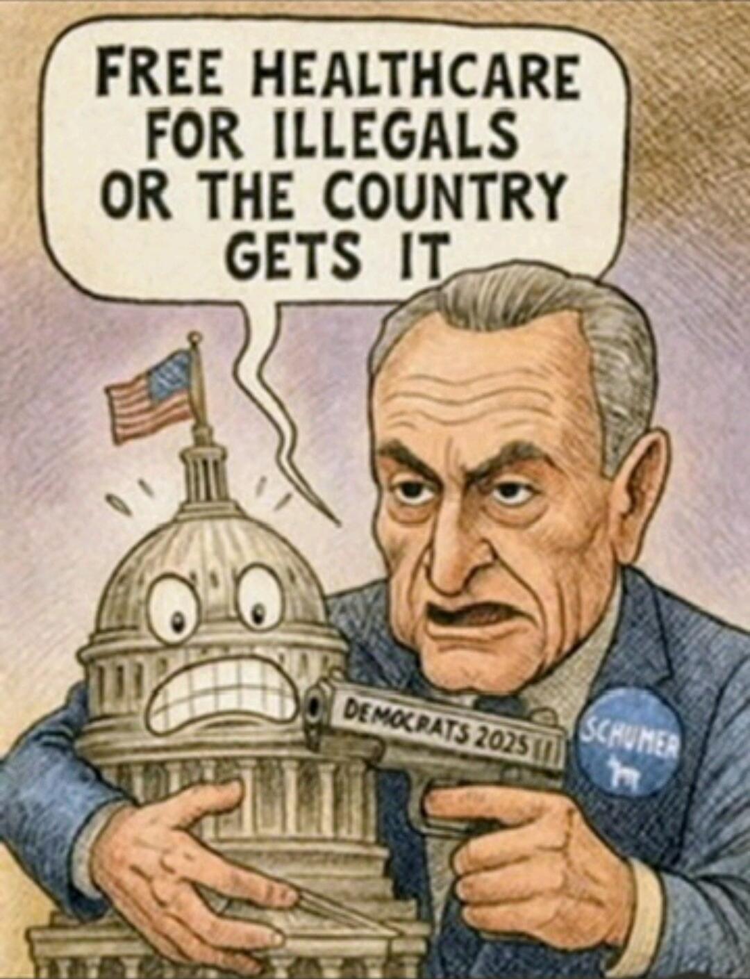 FREE HEALTHCARE FOR ILLEGALS OR THE COUNTRY GETS IT
DEMOCRATS 2025