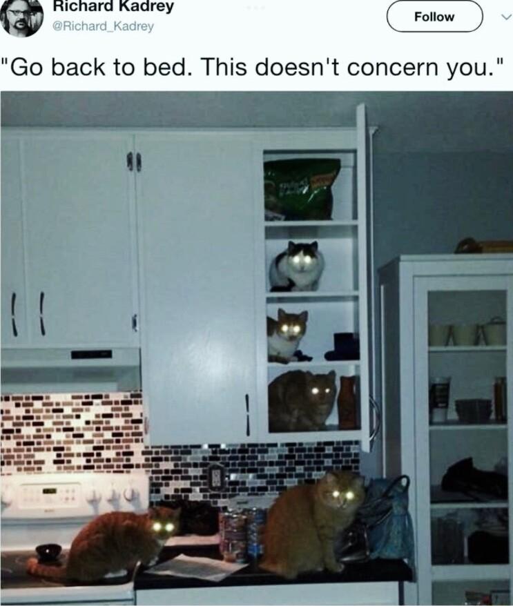 TGN acvey Fotow Go back to bed This doesnt concern you