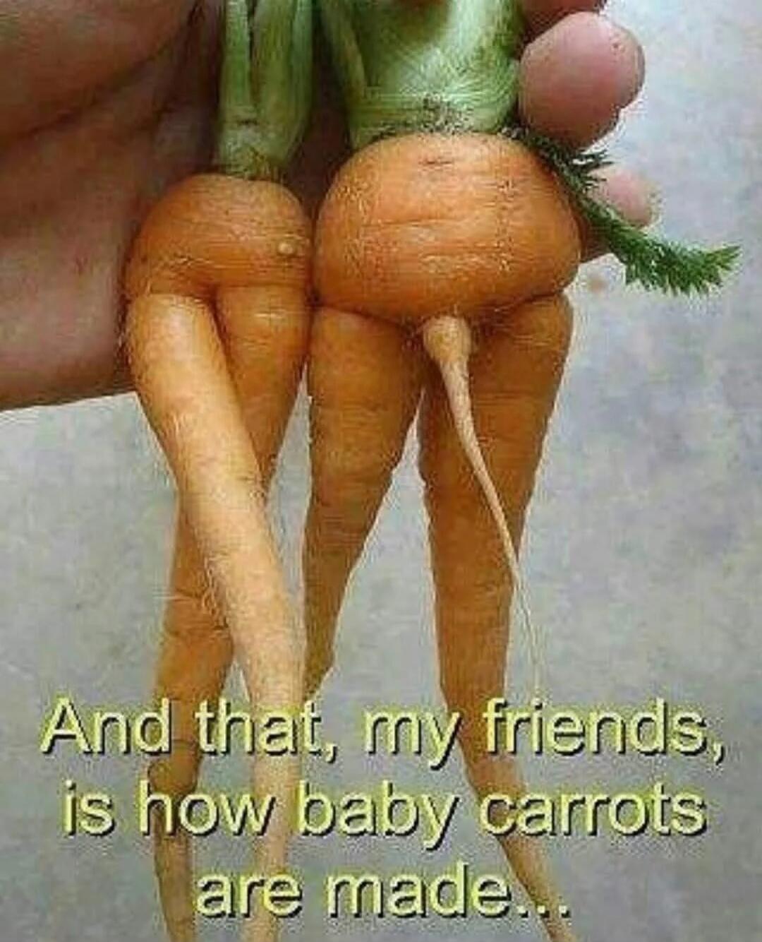 And that, my friends, is how baby carrots are made...