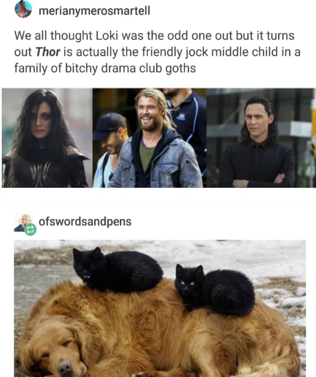 merianymerosmartell We all thought Loki was the odd one out but it turns out Thor is actually the friendly jock middle child in a family of bitchy drama club goths