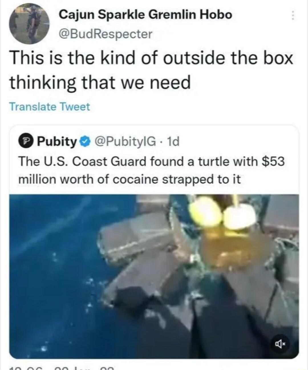 Cajun Sparkle Gremlin Hobo BudRespecter This is the kind of outside the box thinking that we need Translate Tweet Pubity PubityIG 1d The US Coast Guard found a turtle with 53 million worth of cocaine strapped to it