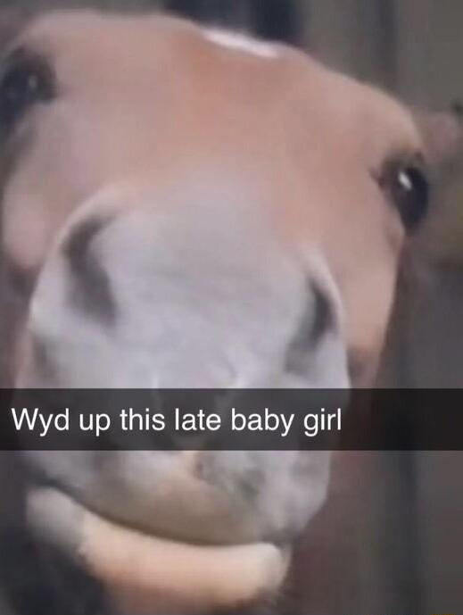 LA RVToR IR VR o 1o Ao 4 5