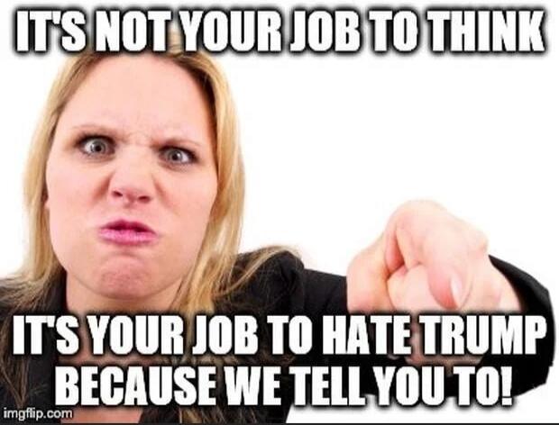 IT'S NOT YOUR JOB TO THINK IT'S YOUR JOB TO HATE TRUMP BECAUSE WE TELL YOU TO!