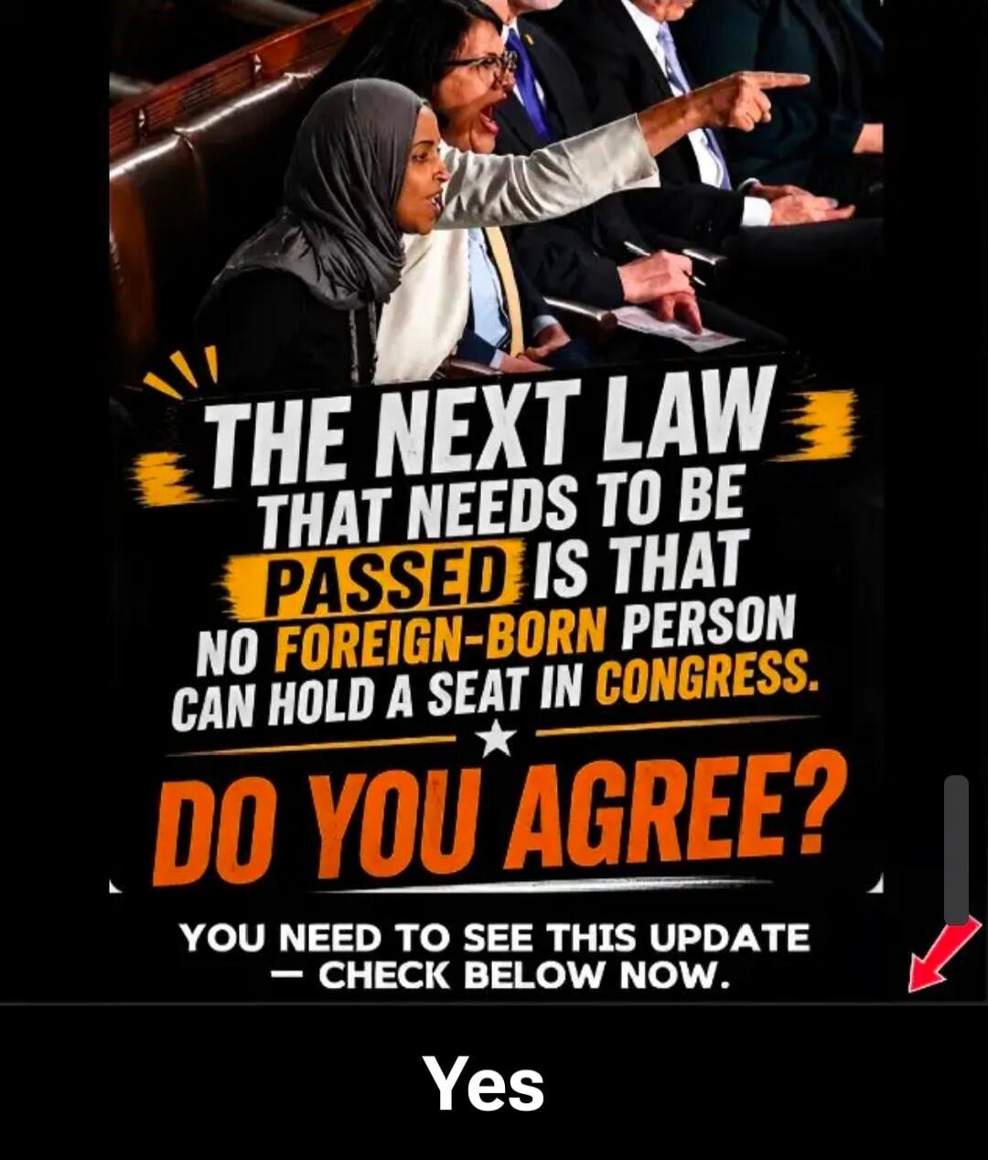 THE NEXT LAW THAT NEEDS TO BE PASSED IS THAT NO FOREIGN-BORN PERSON CAN HOLD A SEAT IN CONGRESS. DO YOU AGREE? YOU NEED TO SEE THIS UPDATE - CHECK BELOW NOW. Yes