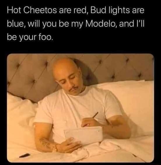 Hot Cheetos are red Bud lights are ol RYeTUN oTNaa A oTe IoRETaTe NN olRVelU g olc