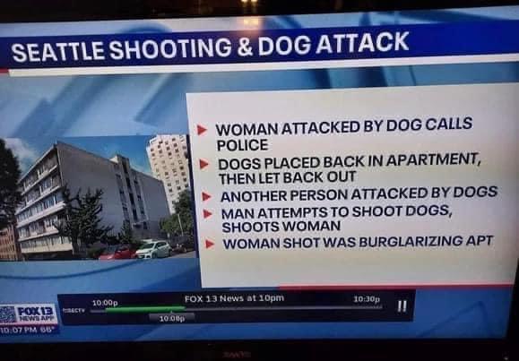 L S SS SEAE HOOTING DOG ATTACI e m WOMAN ATTACKED BY DOG CALLS POLICE DOGS PLACED BACK IN APARTMENT THEN LETBACK OUT ANOTHER PERSON ATTACKED BY DOGS MAN ATTEMPTS TO SHOOTDOGS SHOOTS WOMAN WOMAN SHOT WAS BURGLARIZING APT