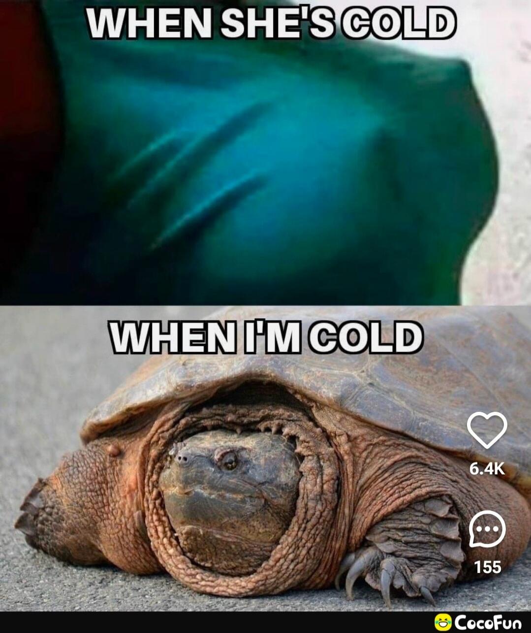 WHEN SHE'S COLD WHEN I'M COLD