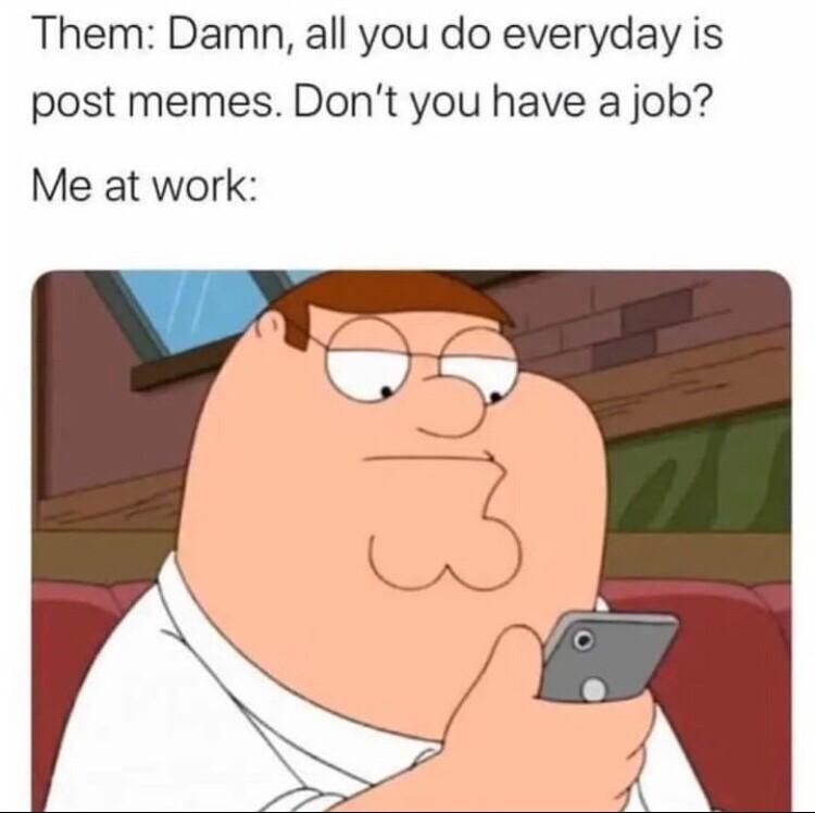 Them Damn all you do everyday is post memes Dont you have a job Me at work