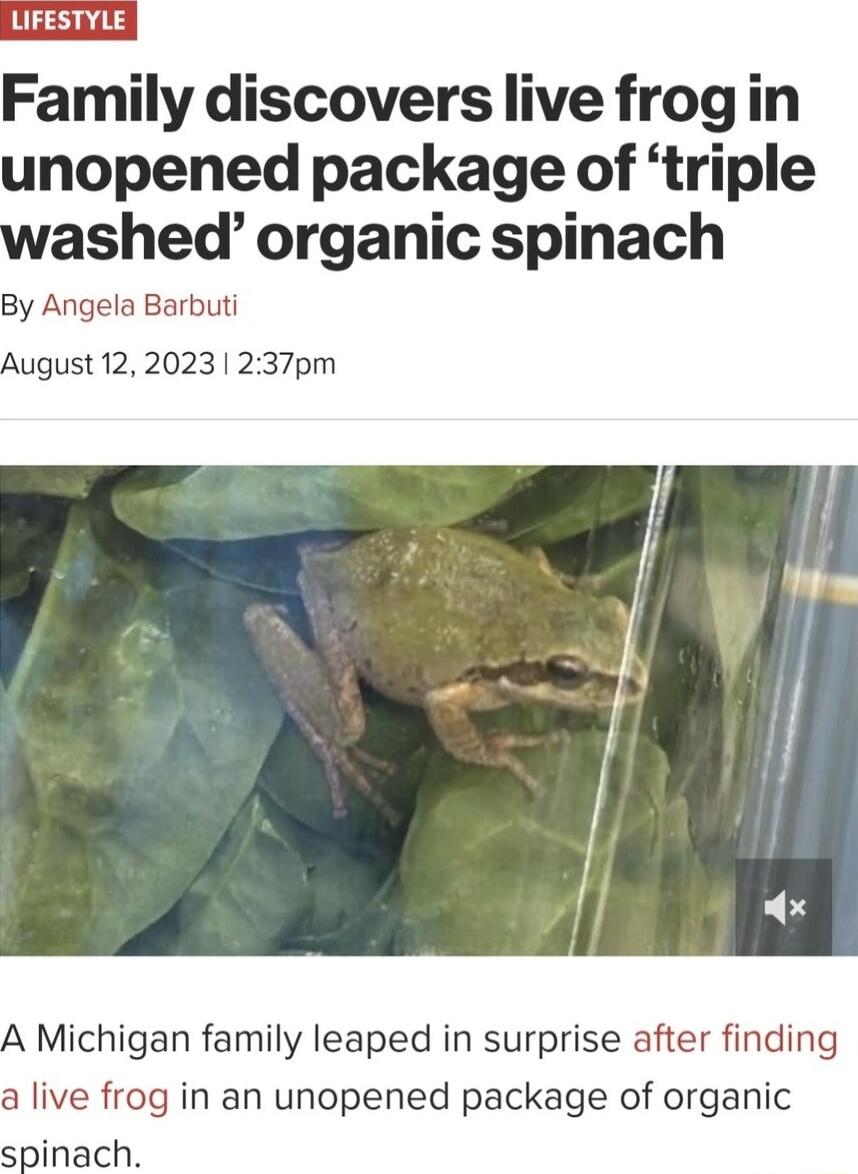 UIFESTYLE Family discovers live frogin unopened package of triple washed organic spinach By Angela Barbuti August 12 2023 237pm A Michigan family leaped in surprise after finding a live frog in an unopened package of organic spinach