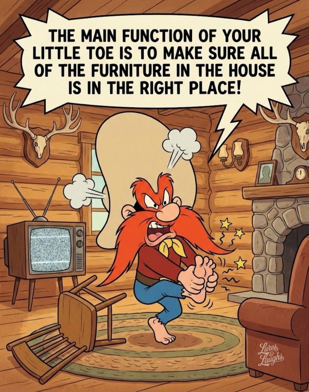 THE MAIN FUNCTION OF YOUR LITTLE TOE IS TO MAKE SURE ALL OF THE FURNITURE IN THE HOUSE IS IN THE RIGHT PLACE!