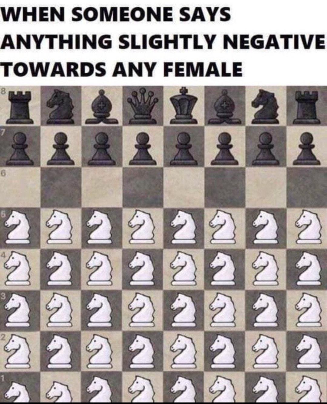 WHEN SOMEONE SAYS ANYTHING SLIGHTLY NEGATIVE TOWARDS ANY FEMALE