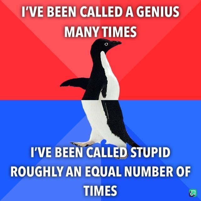IVE BEEN CALLED A GENIUS MANY TIMES IVE BEEN CALLED STUPID ROUGHLY AN EQUAL NUMBER OF TIMES a