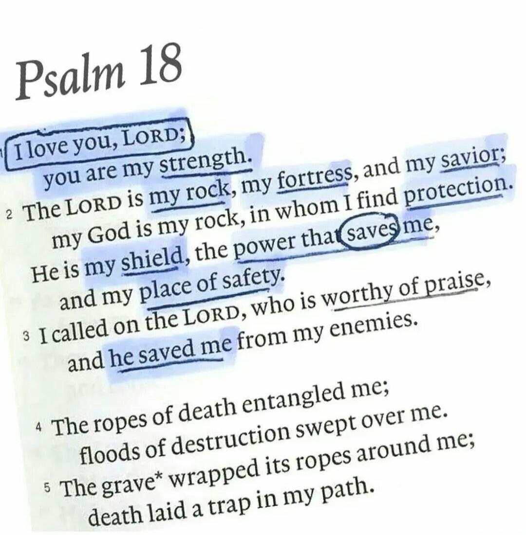 Psalm 18
1 I love you, LORD;
you are my strength.
2 The LORD is my rock, my fortress, and my savior;
my God is my rock, in whom I find protection.
He is my shield, the power that saves me,
and my place of safety.
3 I called on the LORD, who is worthy of praise,
and he saved me from my enemies.
4 The ropes of death entangled me;
floods of destructio
