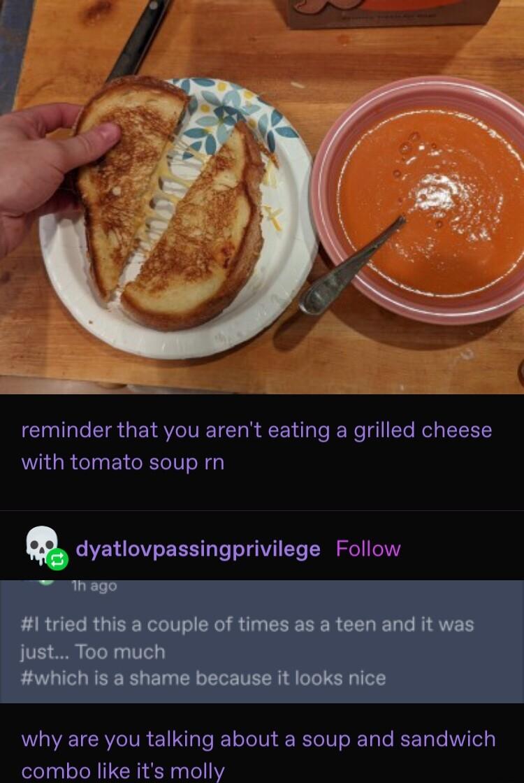 reminder that you arent eating a grilled cheese WRGRETELCRTII o N Y dyatlovpassingprivilege Follow why are you talking about a soup and sandwich combo like its molly