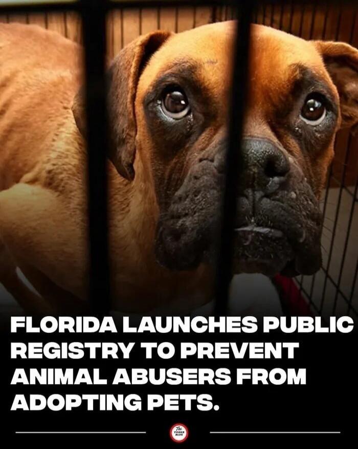FLORIDA LAUNCHES PUBLIC REGISTRY TO PREVENT ANIMAL ABUSERS FROM ADOPTING PETS. The Finder Blog.