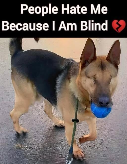 People Hate Me Because I Am Blind 💔