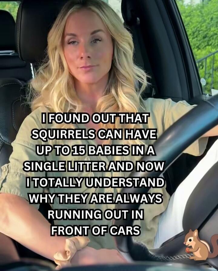 I FOUND OUT THAT SQUIRRELS CAN HAVE UP TO 15 BABIES IN A SINGLE LITTER AND NOW I TOTALLY UNDERSTAND WHY THEY ARE ALWAYS RUNNING OUT IN FRONT OF CARS