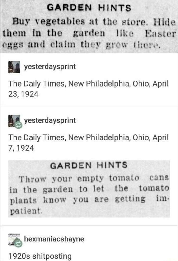 GARDEN HINTS Buy vegetables at the store Hide them in the garden like Easter eggs and claim they grow here yesterdaysprint The Daily Times New Philadelphia Ohio April 231924 5 yesterdaysprint The Daily Times New Philadelphia Ohio April 71924 GARDEN HINTS Throw your empty tomato cans in the garden to let the tomato plants know you are getting im patient e hexmaniacshayne 1920s shitposting