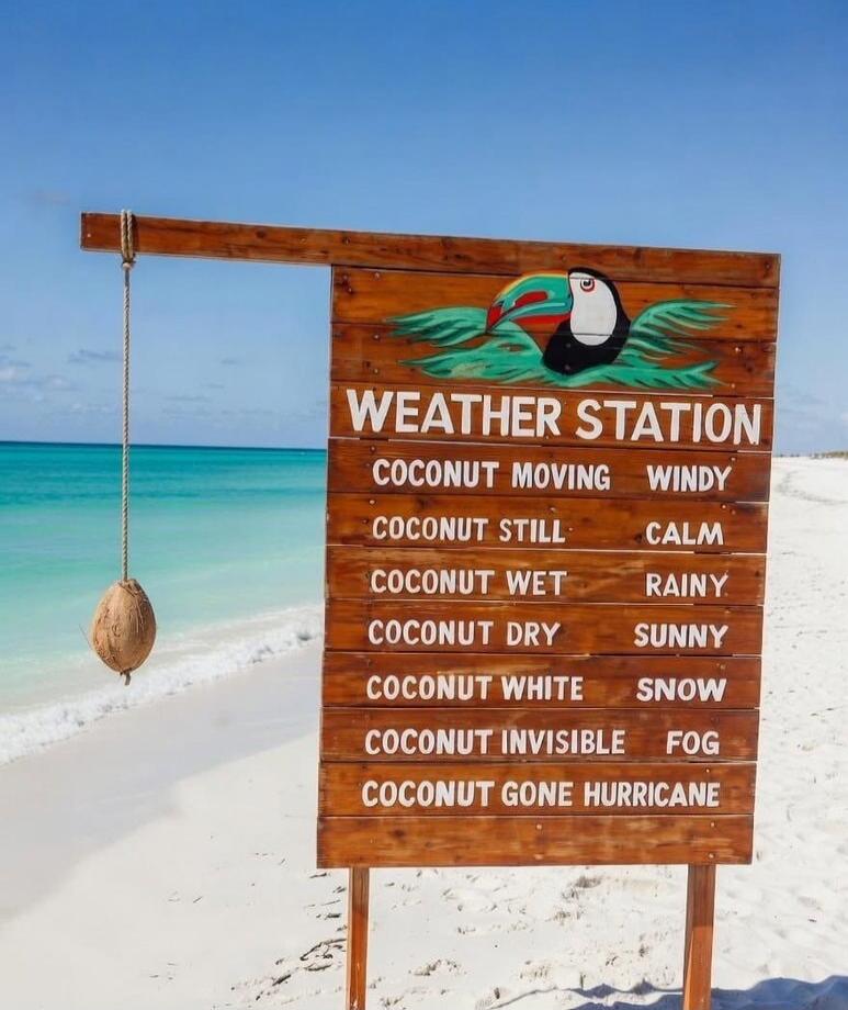 WEATHER STATION Coconut Moving Windy Coconut Still Calm Coconut Wet Rainy Coconut Dry Sunny Coconut White Snow Coconut Invisible Fog Coconut Gone Hurricane