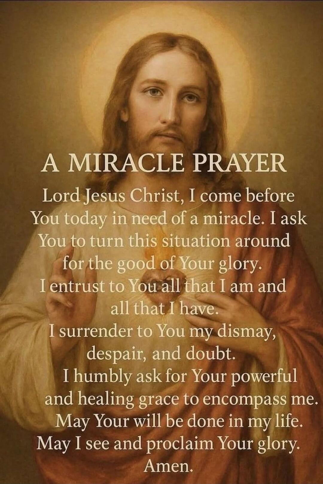 A MIRACLE PRAYER
Lord Jesus Christ, I come before You today in need of a miracle. I ask You to turn this situation around for the good of Your glory. I entrust to You all that I am and all that I have. I surrender to You my dismay, despair, and doubt. I humbly ask for Your powerful and healing grace to encompass me. May Your will be done in my life