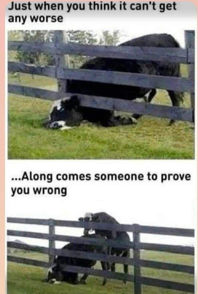 Just when you think it can't get any worse ...Along comes someone to prove you wrong