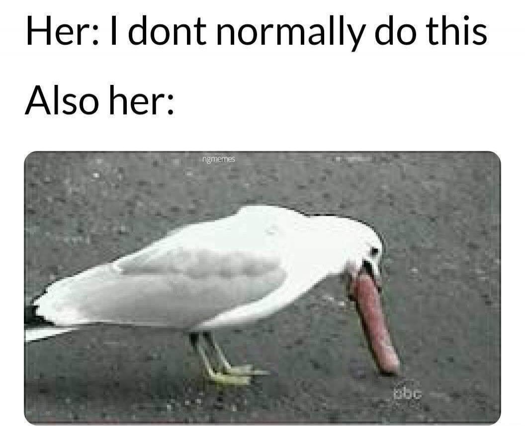 Her: I dont normally do this Also her: ngmemes bbc