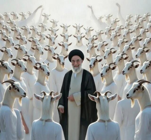 A cleric standing in the center surrounded by dozens of white goats.