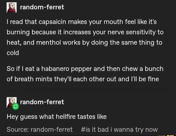 9 random ferret read that capsaicin makes your mouth feel like its burning because it increases your nerve sensitivity to heat and menthol works by doing the same thing to cold Soif eat a habanero pepper and then chew a bunch of breath mints theyll each other out and Il be fine ELEEIR Lt Hey guess what hellfire tastes like BRTGEREUG R CIC S S S EL RRVEL L ER L o