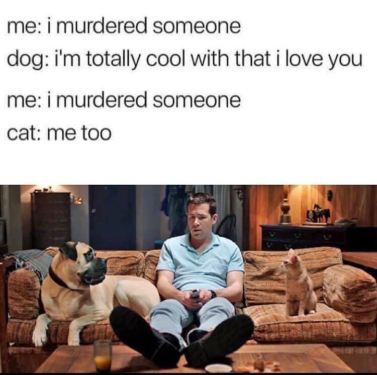 me i murdered someone dog im totally cool with that i love you me i murdered someone cat me too