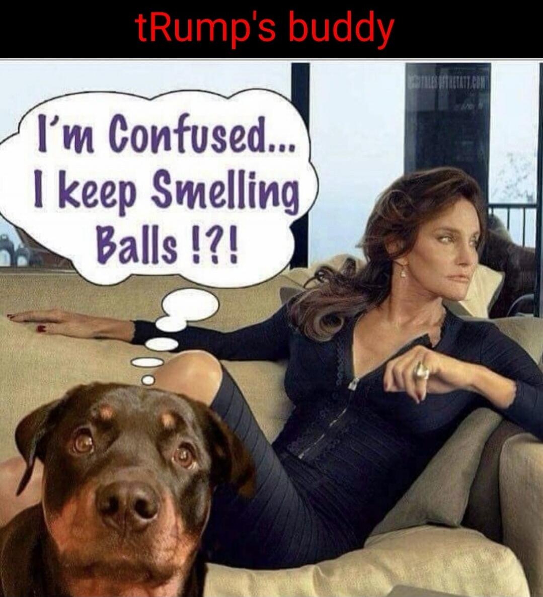tRump's buddy I'm Confused... I keep Smelling Balls !?!