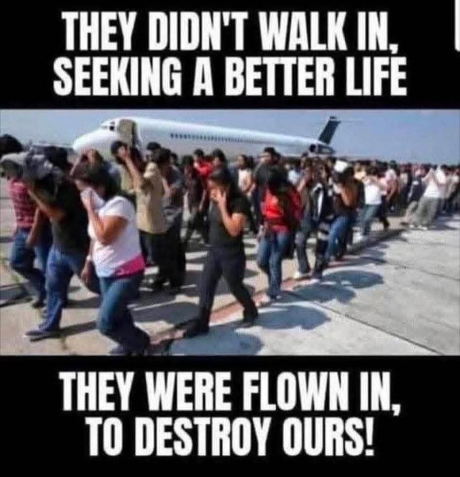 THEY DIDN'T WALK IN, SEEKING A BETTER LIFE THEY WERE FLOWN IN, TO DESTROY OURS!