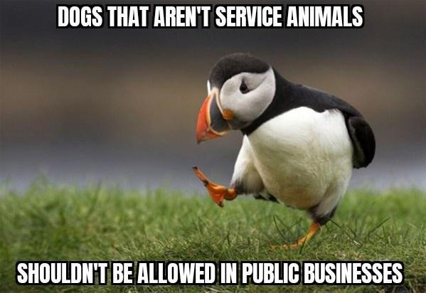 DOGS THAT ARENT SERVICE ANIMALS iroltim W 4 SHOULDNT BE ALLOWED N PUBLIC BUSINESSES