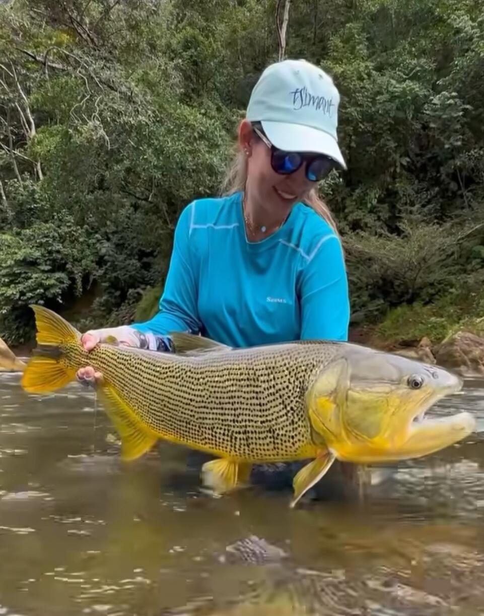 A person wearing a light blue cap and blue long-sleeve shirt stands in a shallow river, holding a large striped fish with yellow fins. The person is wearing sunglasses and appears to be outdoors among trees.