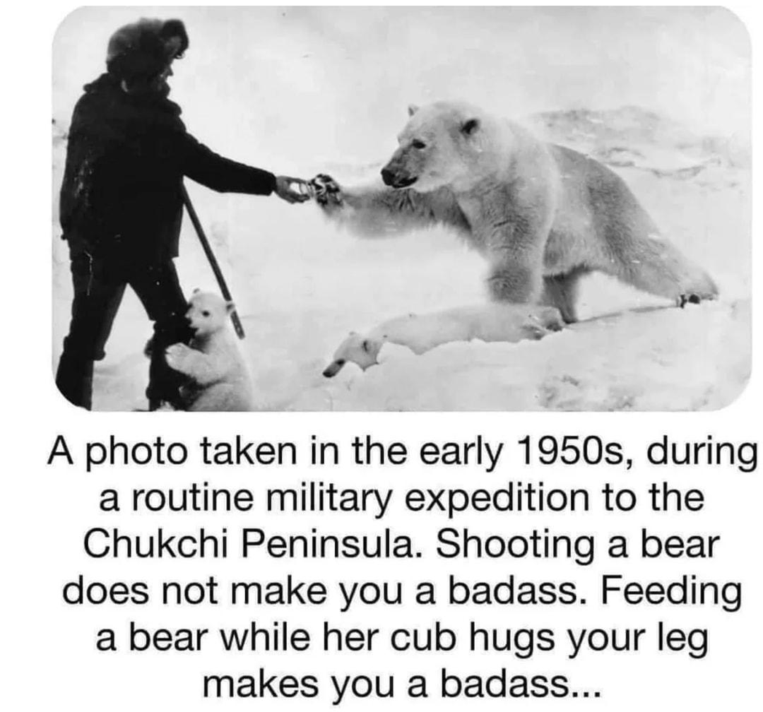 A photo taken in the early 1950s during a routine military expedition to the Chukchi Peninsula Shooting a bear does not make you a badass Feeding a bear while her cub hugs your leg makes you a badass