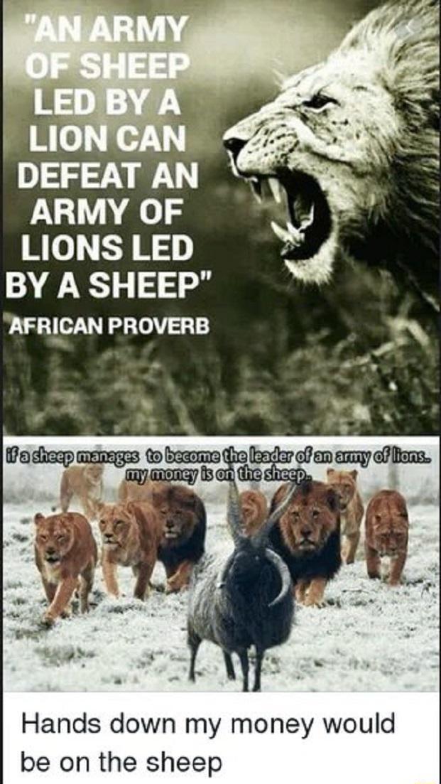 LIC DEFEAT AN LU ol o LIONS LED BY A SHEEP AFRICAN PROVERB Hands down my money would be on the sheep