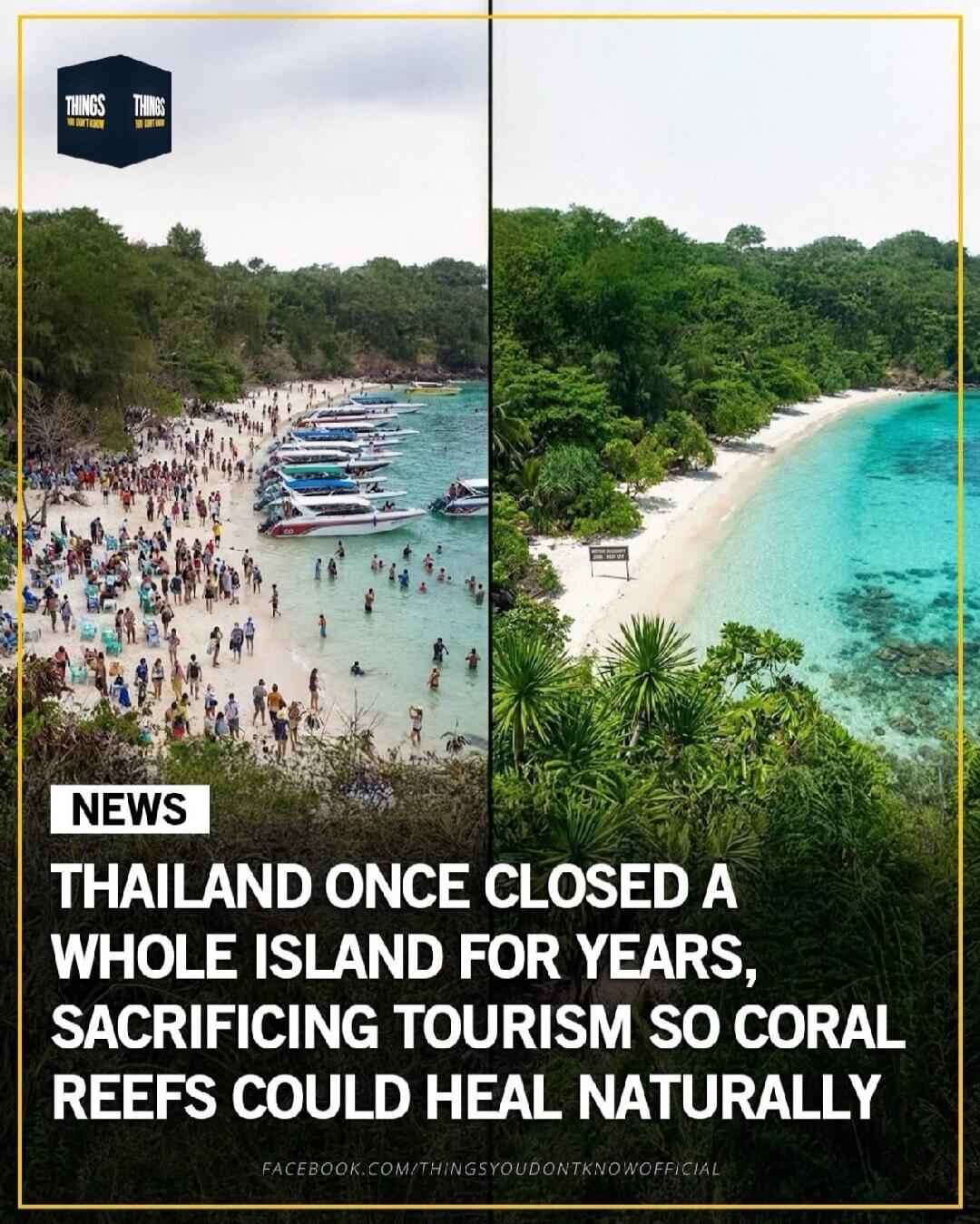 THAILAND ONCE CLOSED A WHOLE ISLAND FOR YEARS, SACRIFICING TOURISM SO CORAL REEFS COULD HEAL NATURALLY