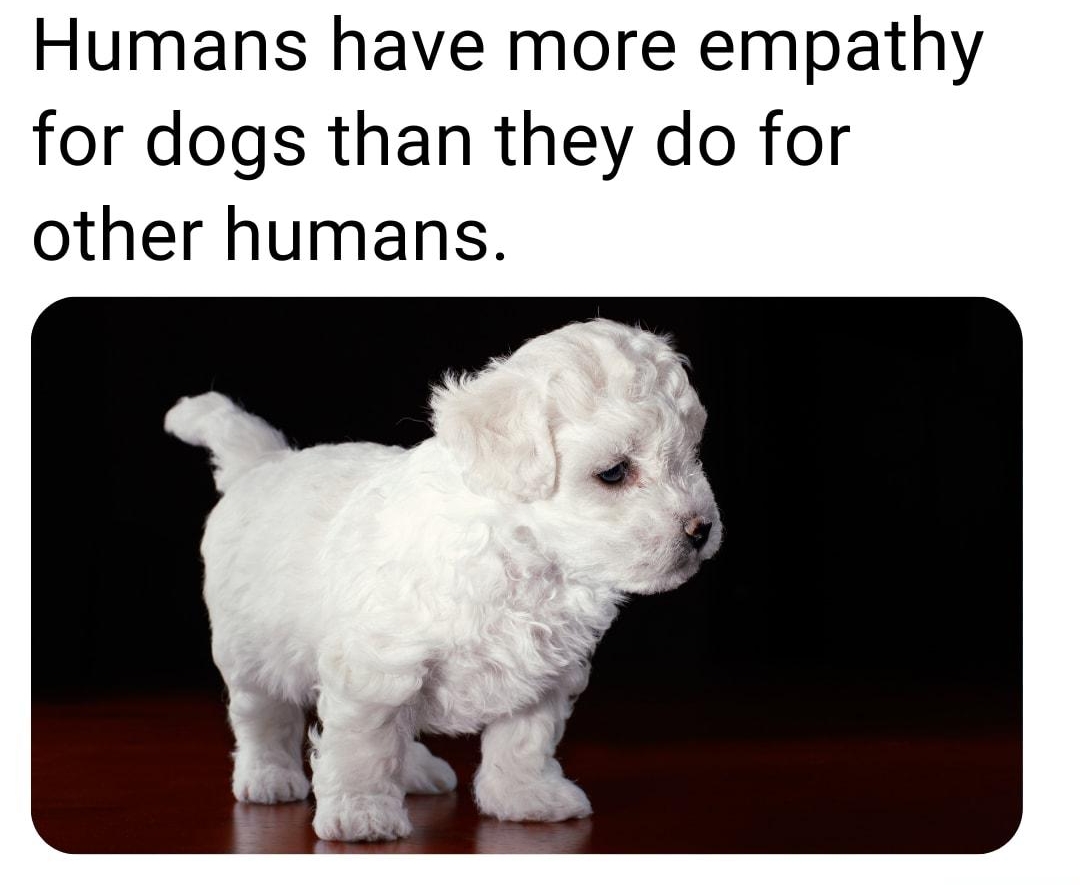 Humans have more empathy for dogs than they do for other humans