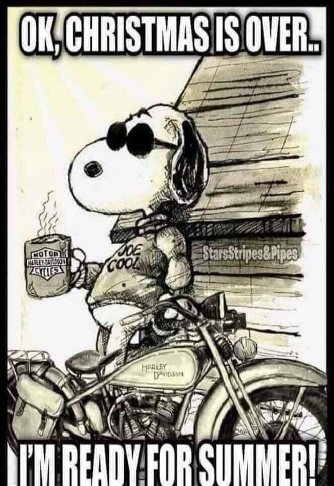 OK, CHRISTMAS IS OVER.. I'M READY FOR SUMMER!