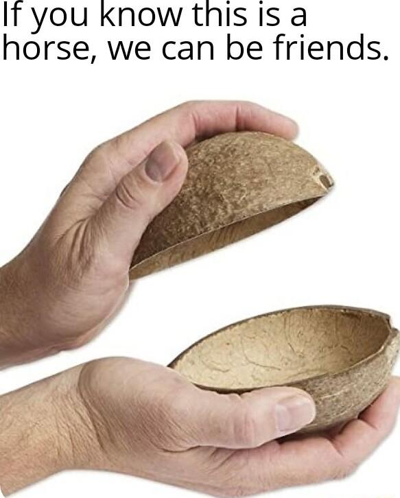 It you know this Is a horse we can be friends