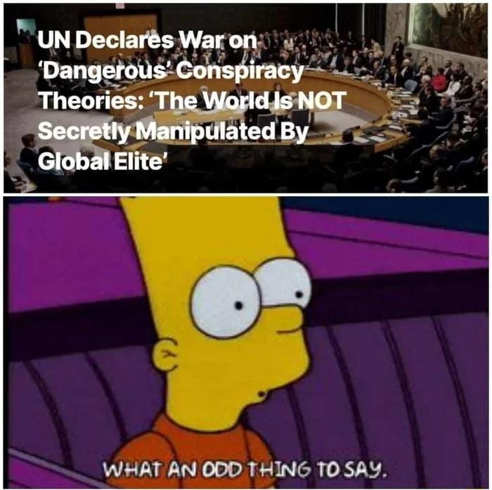 UN Declars Wnrm u T WHAT ANODD THING TOSAY